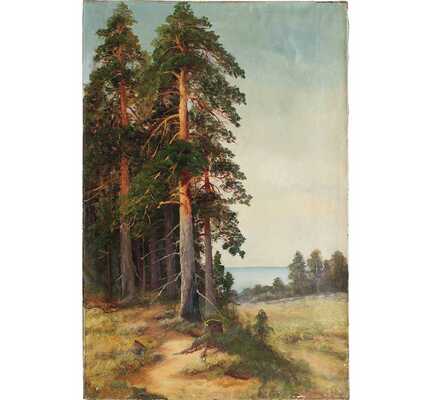 Цигус Павел. Сосны на взморье 